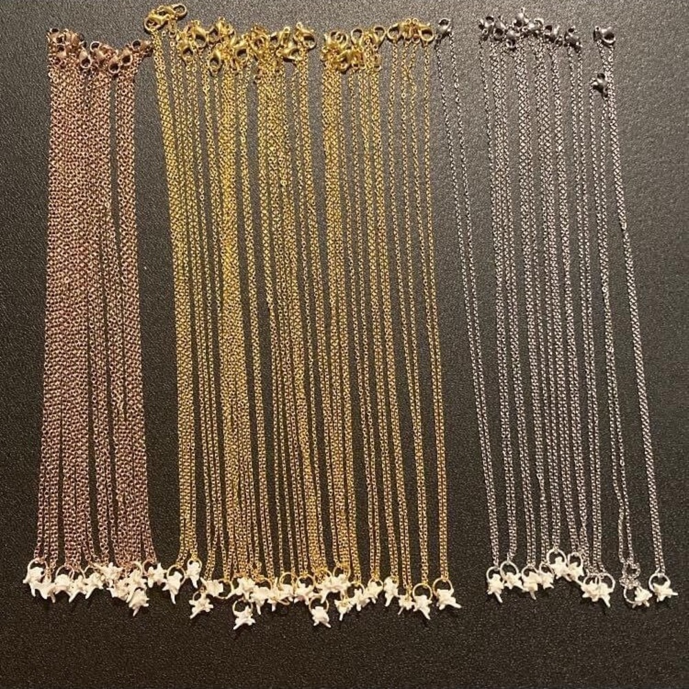 Rattle snake vertebrae necklace